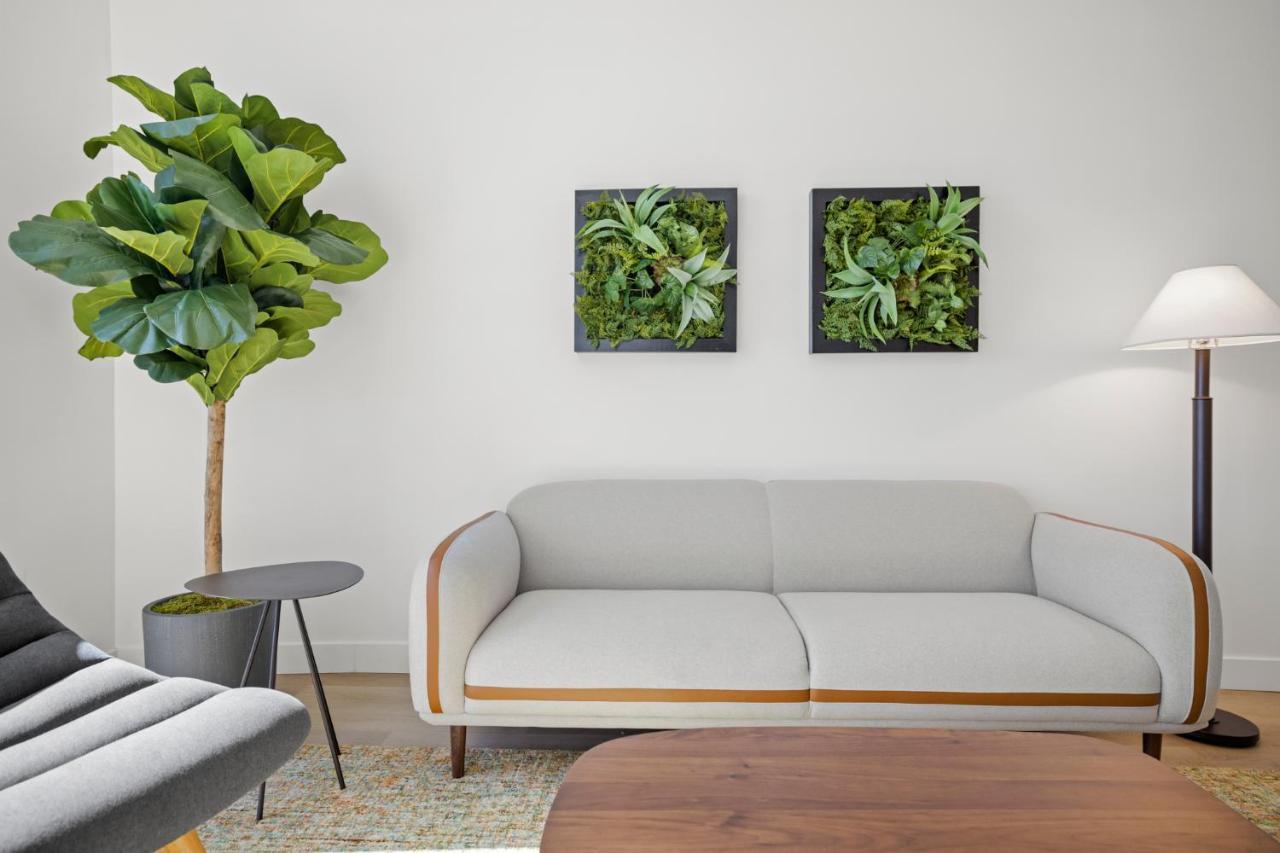 Whyhotel By Placemakr, San José Exteriér fotografie